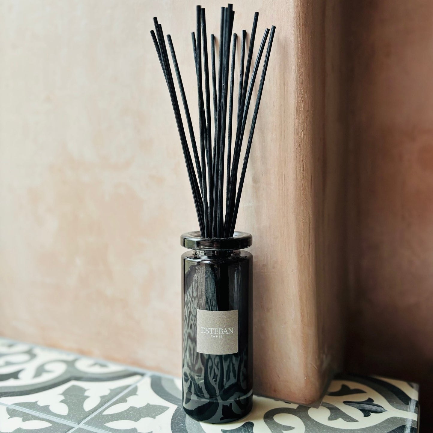 By Esteban Paris: Reed Diffuser 100ml - Teck & Tonka