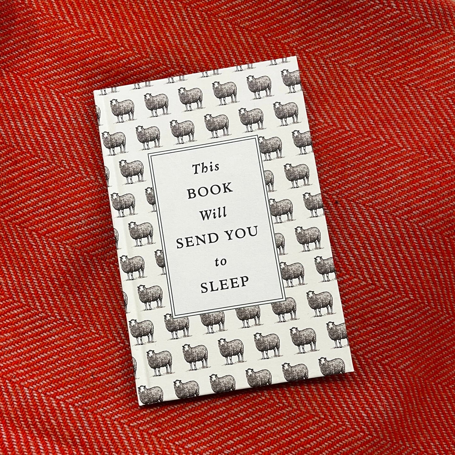 This Book Will Send You to Sleep