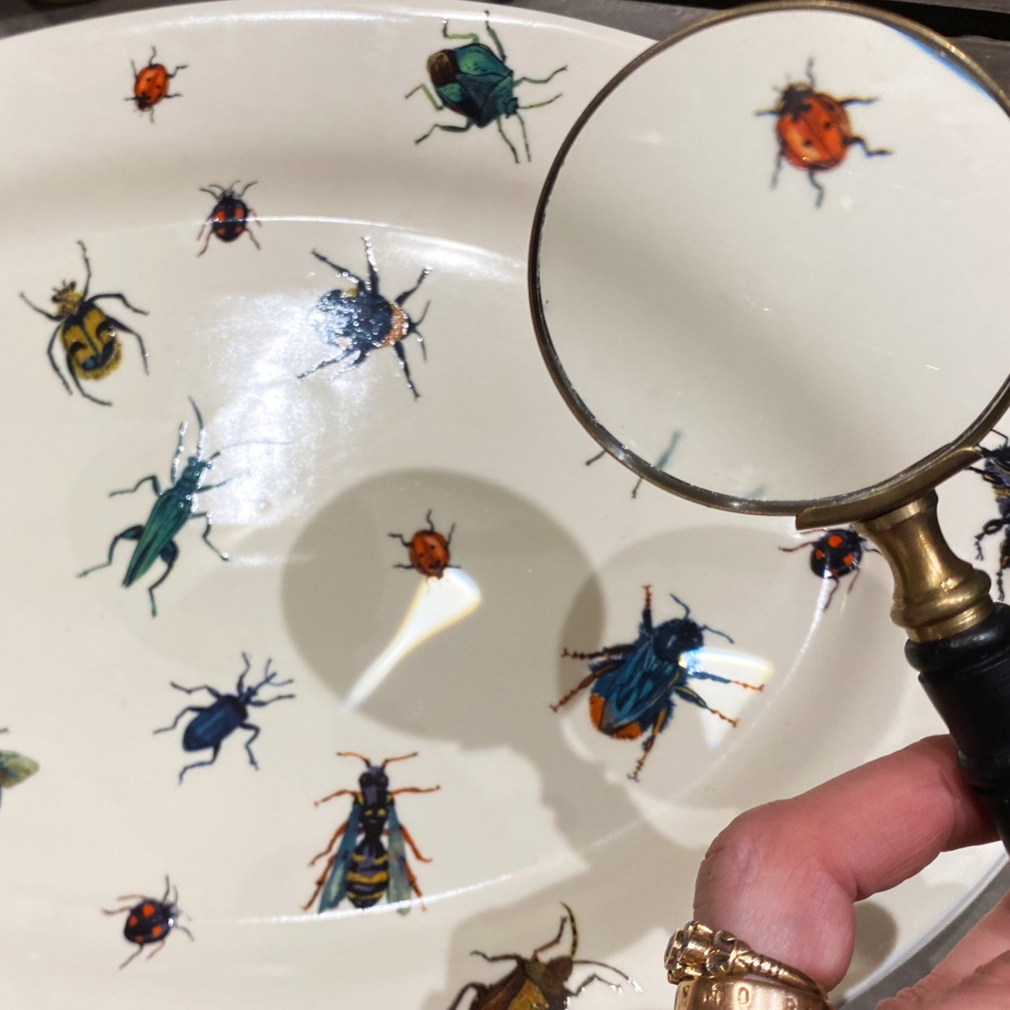 Bugs Platter