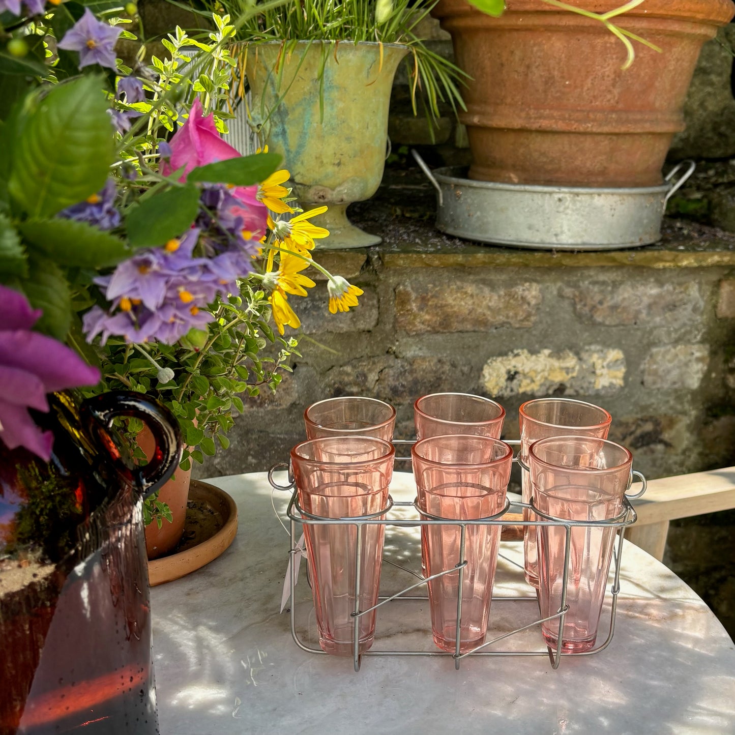 Glasses & Wire Frame Carry