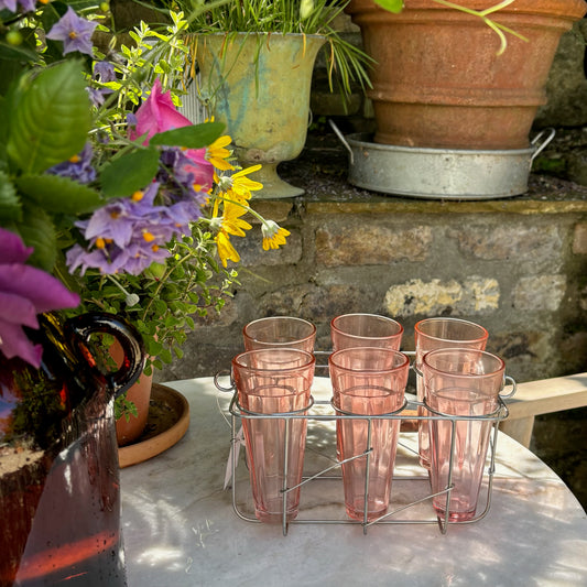 Glasses & Wire Frame Carry