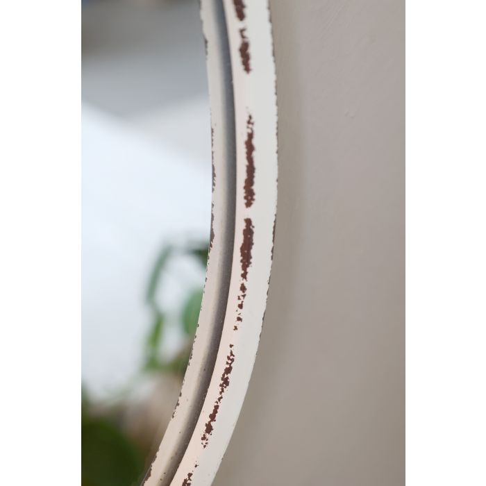 Close-up of a plant stem with visible brownish insect activity on a blurred background