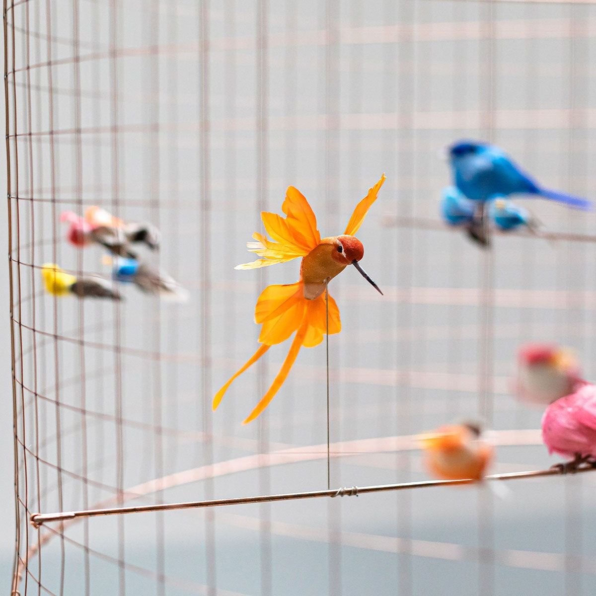 Aviary Lights - Petite