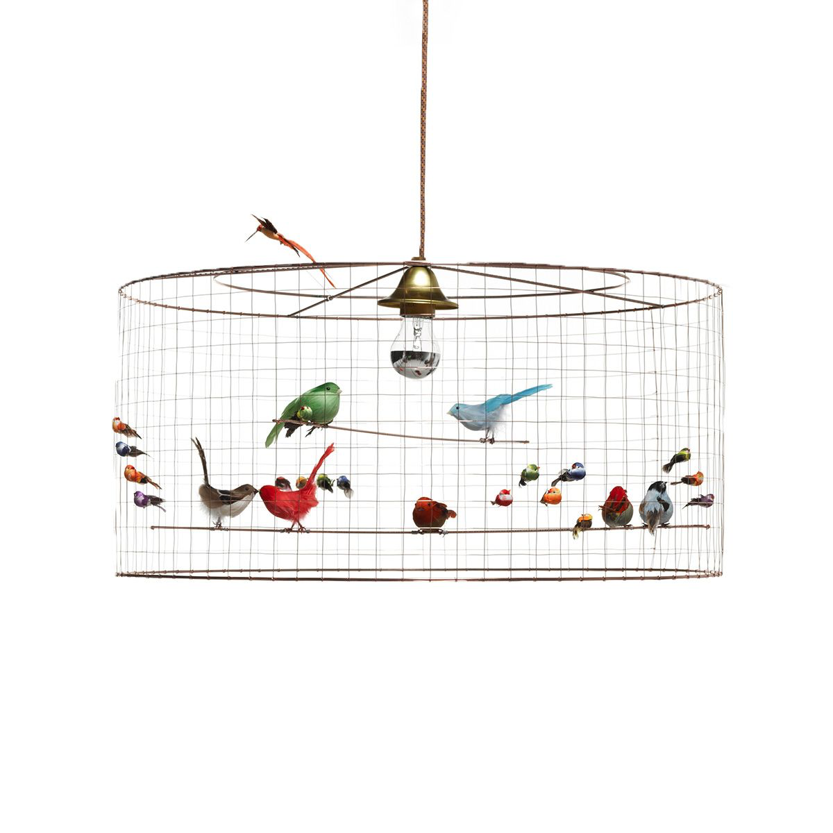 Aviary Lights - Haute