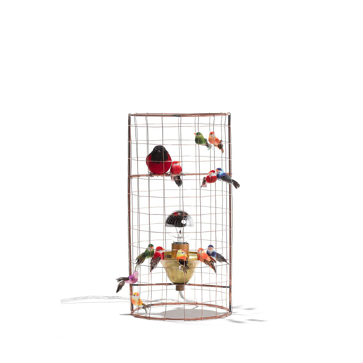 Aviary Lights - Mini