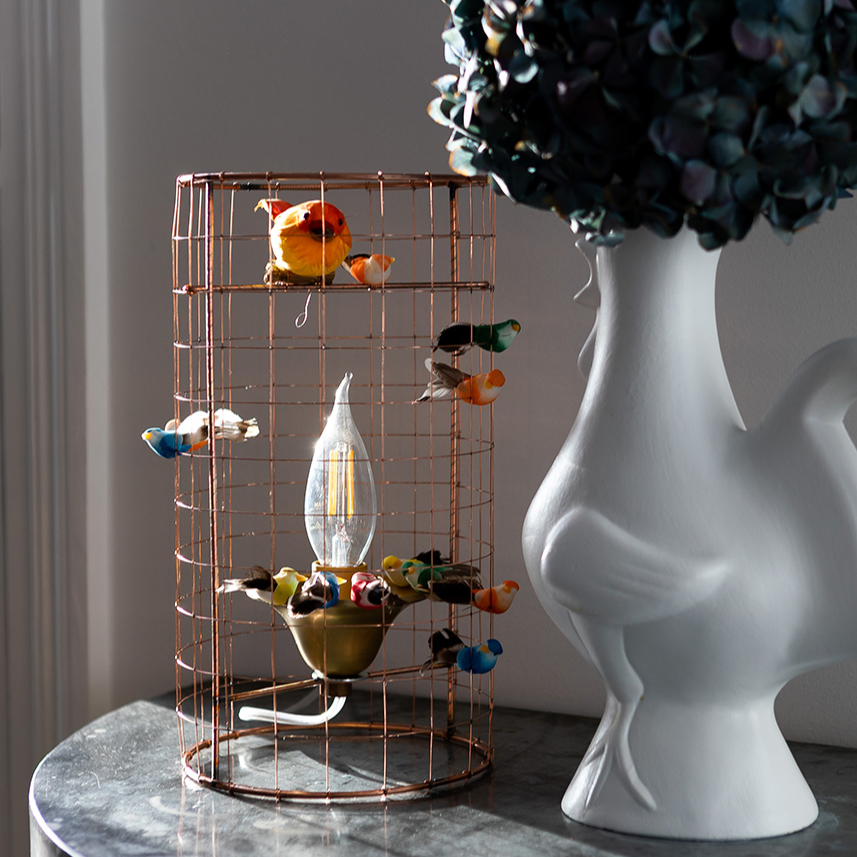 Aviary Lights - Haute