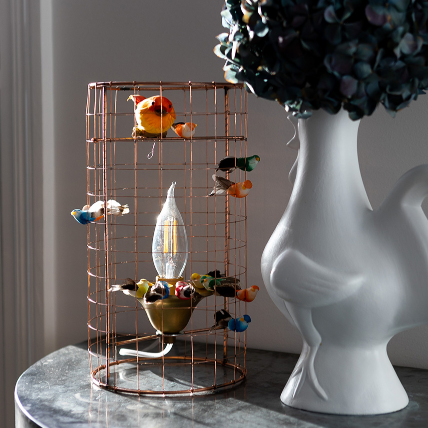 Aviary Lights - Haute