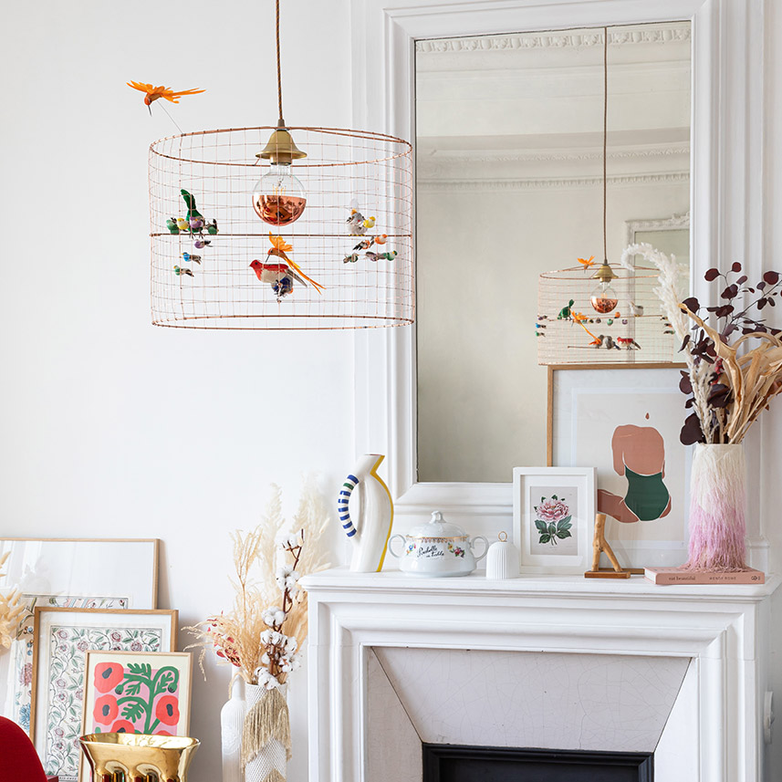 Aviary Lights - Haute