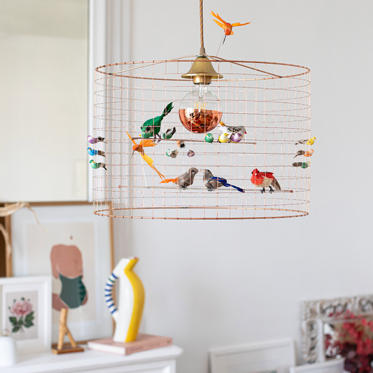 Aviary Lights - Petite