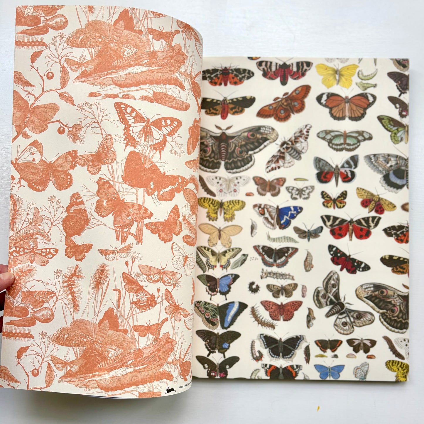 Giftwrap Paper Books