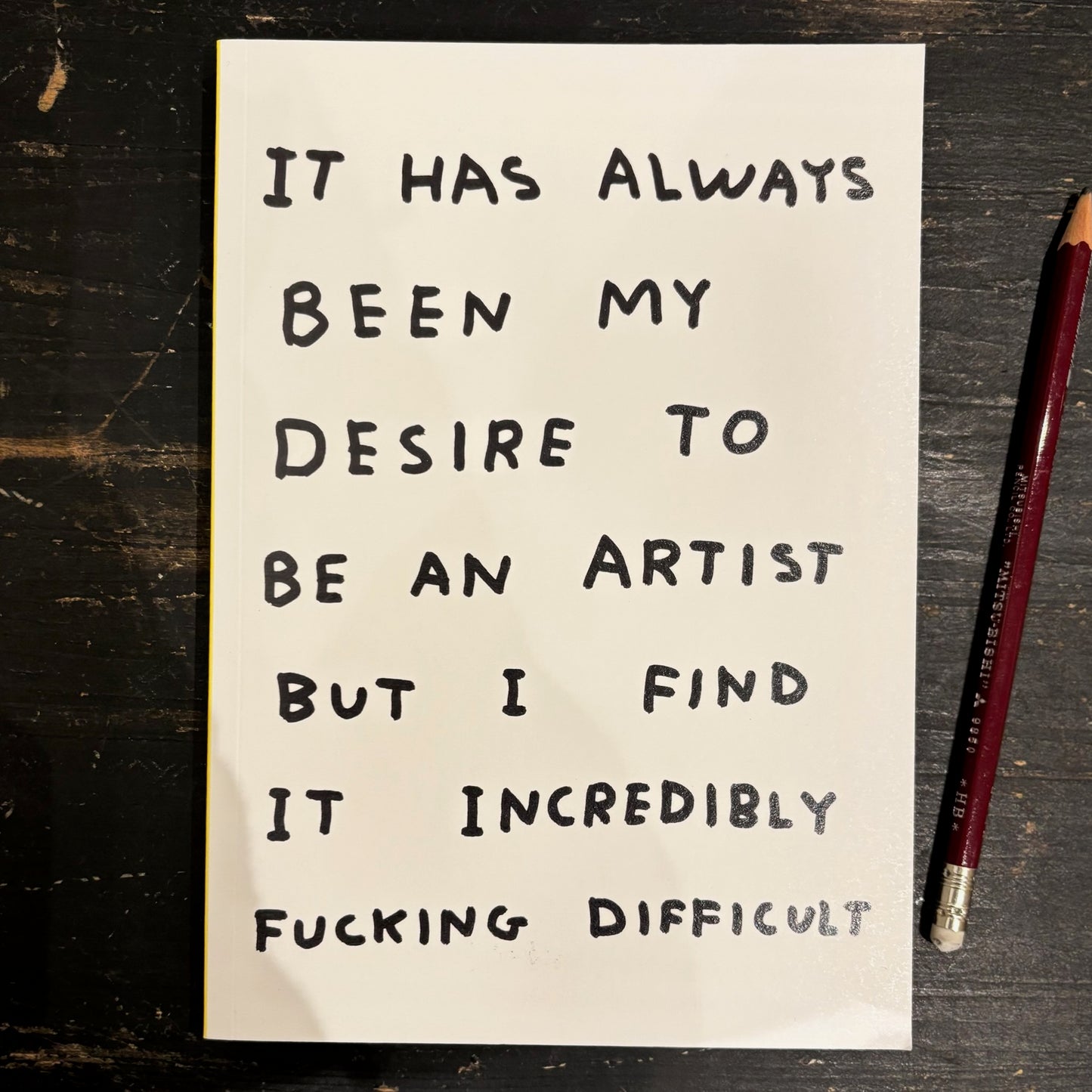 David Shrigley Notebooks
