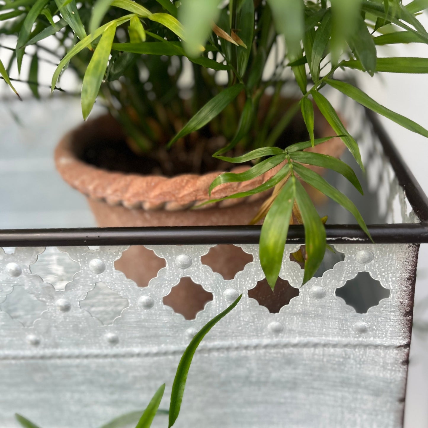 Zinc Planter Trolley
