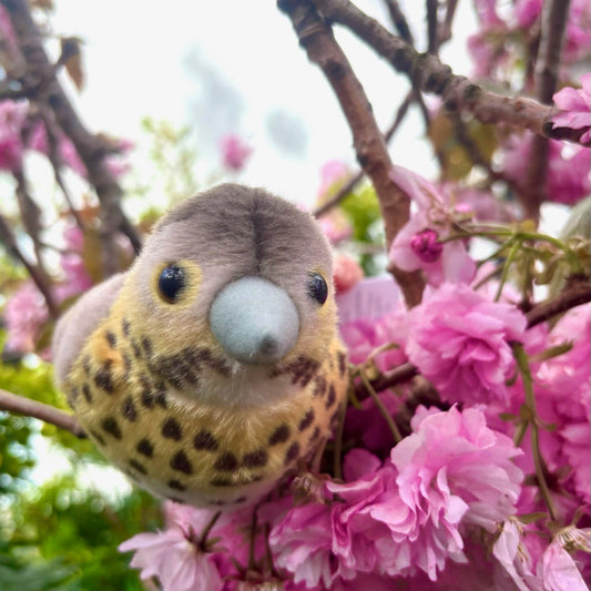 Bird perched on pink flowers with a blurred background