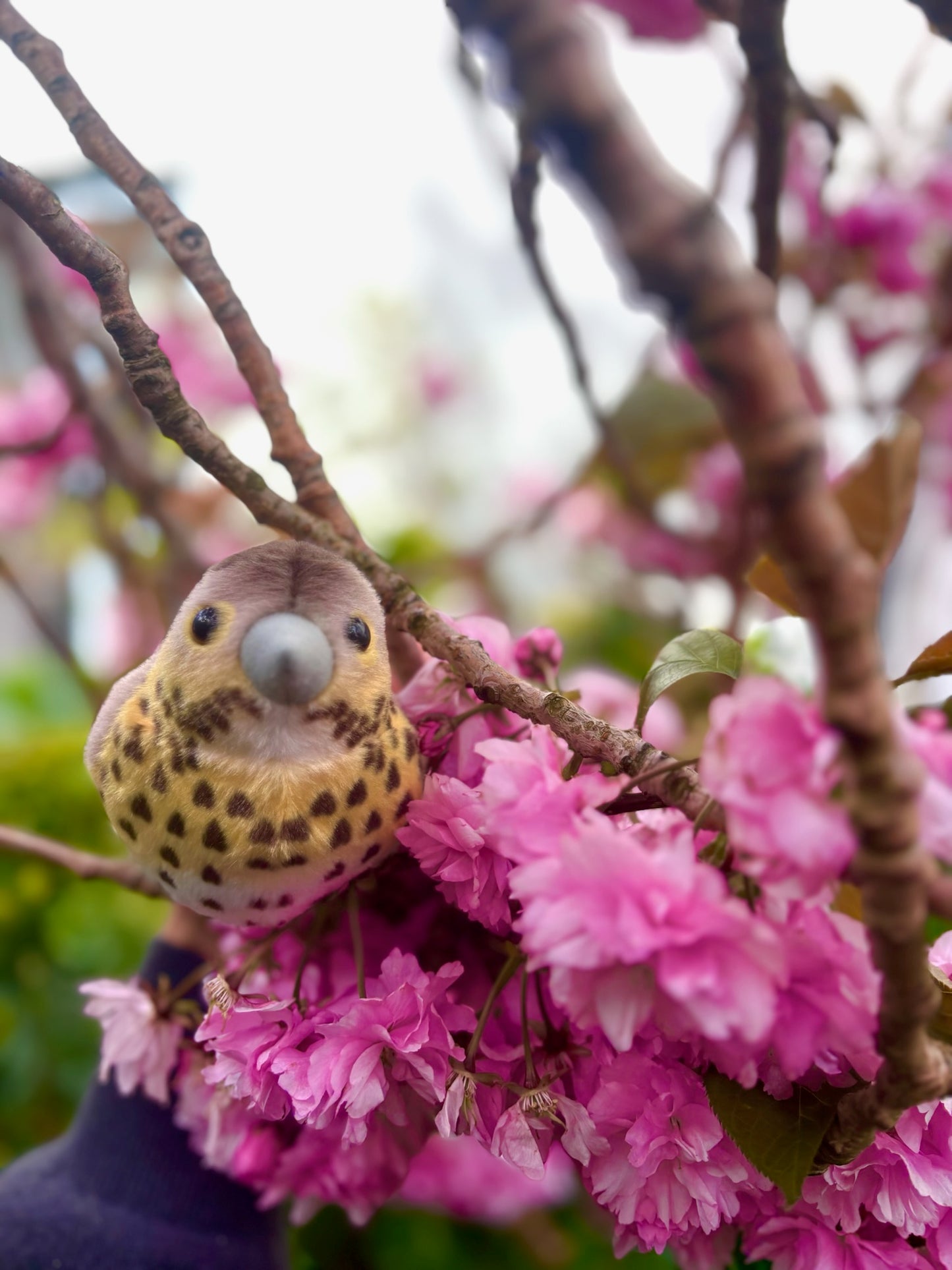 Knitted bird toy among pink flowers on a branch