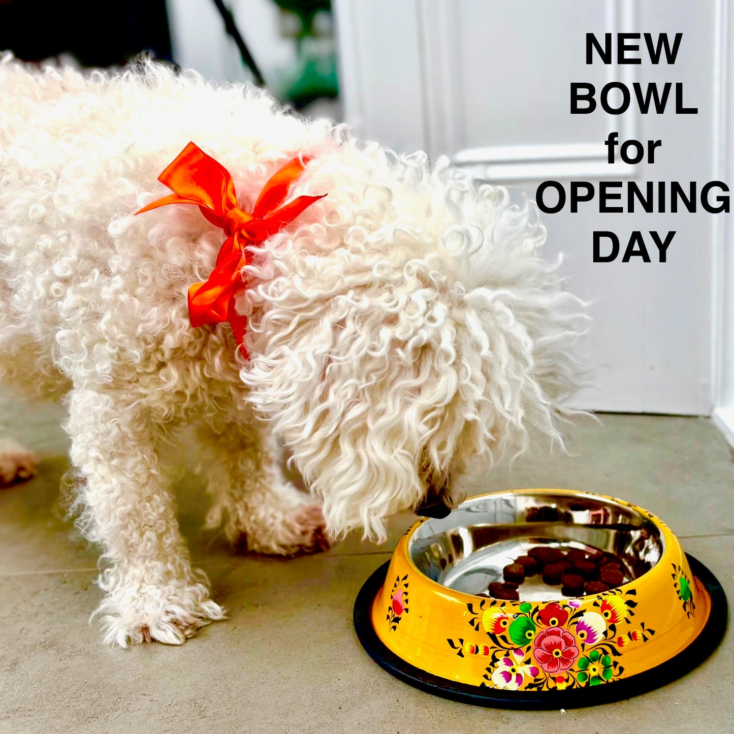 Enamel Pet Bowl