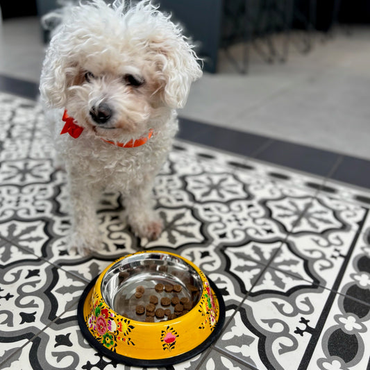 Enamel Pet Bowl