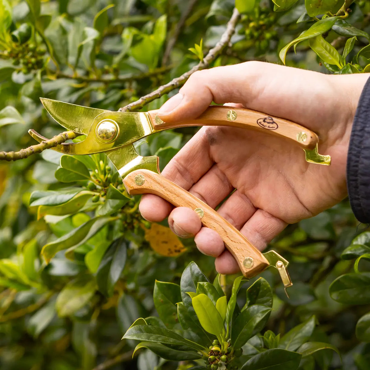 Gold Plated Pruner