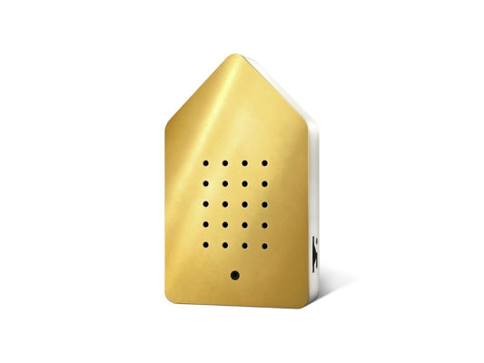 Golden Brass Birdsong Box