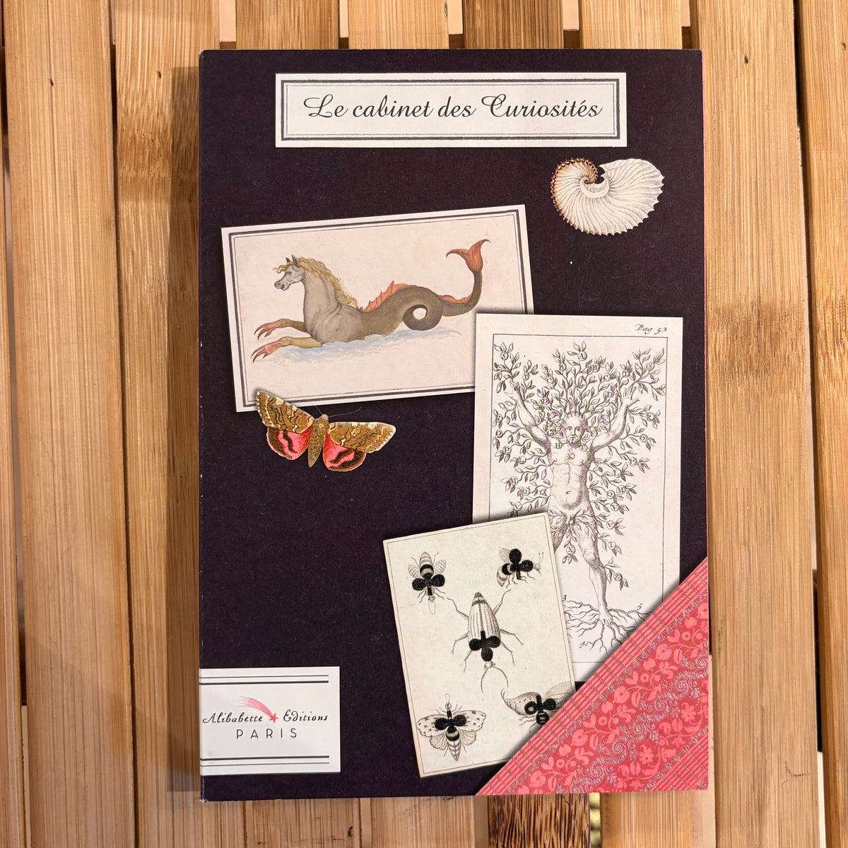 Le Cabinet Des Curiosities