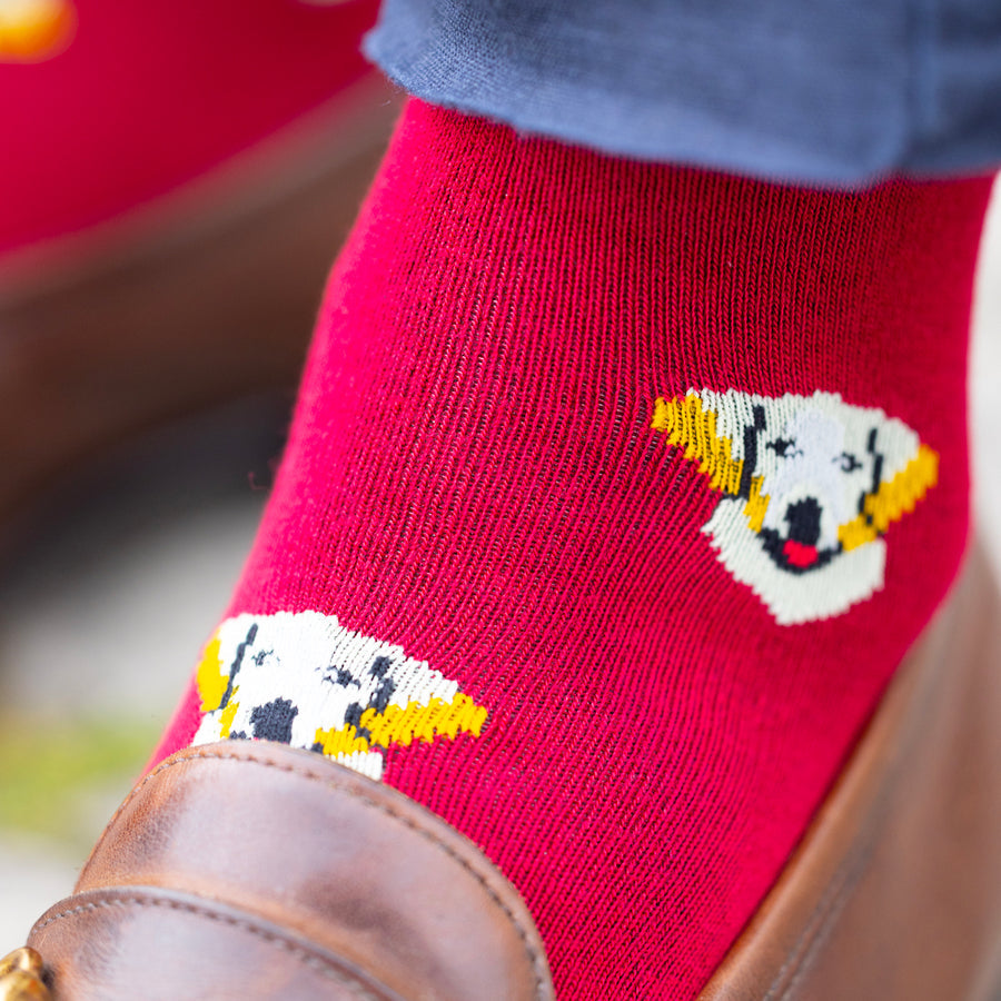 Red sock with a dog design worn by a person, with a blurred background