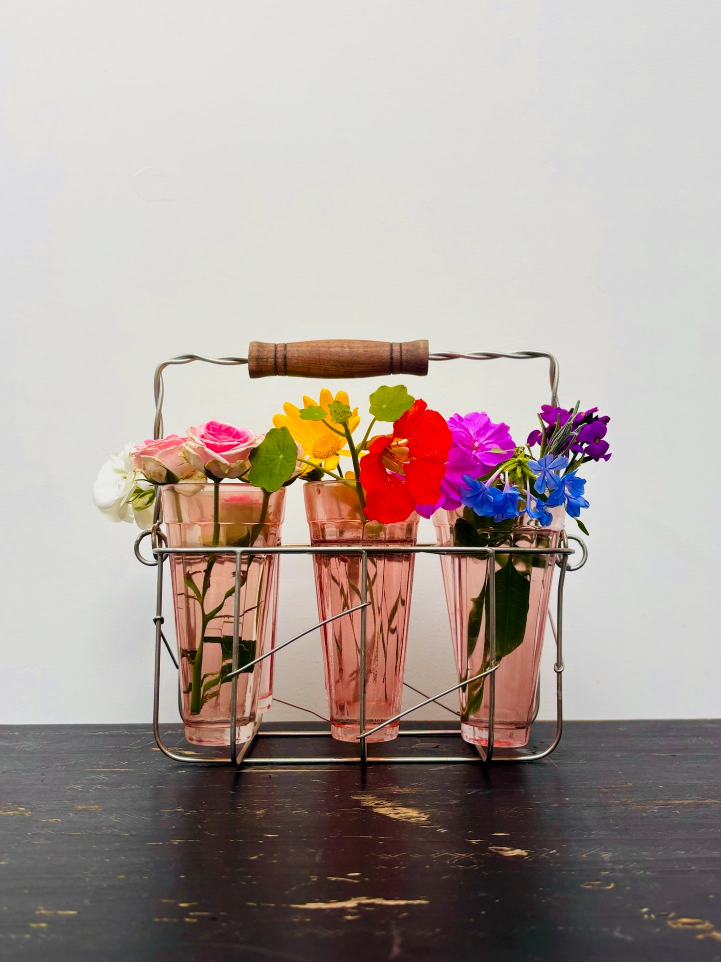 Glasses & Wire Frame Carry