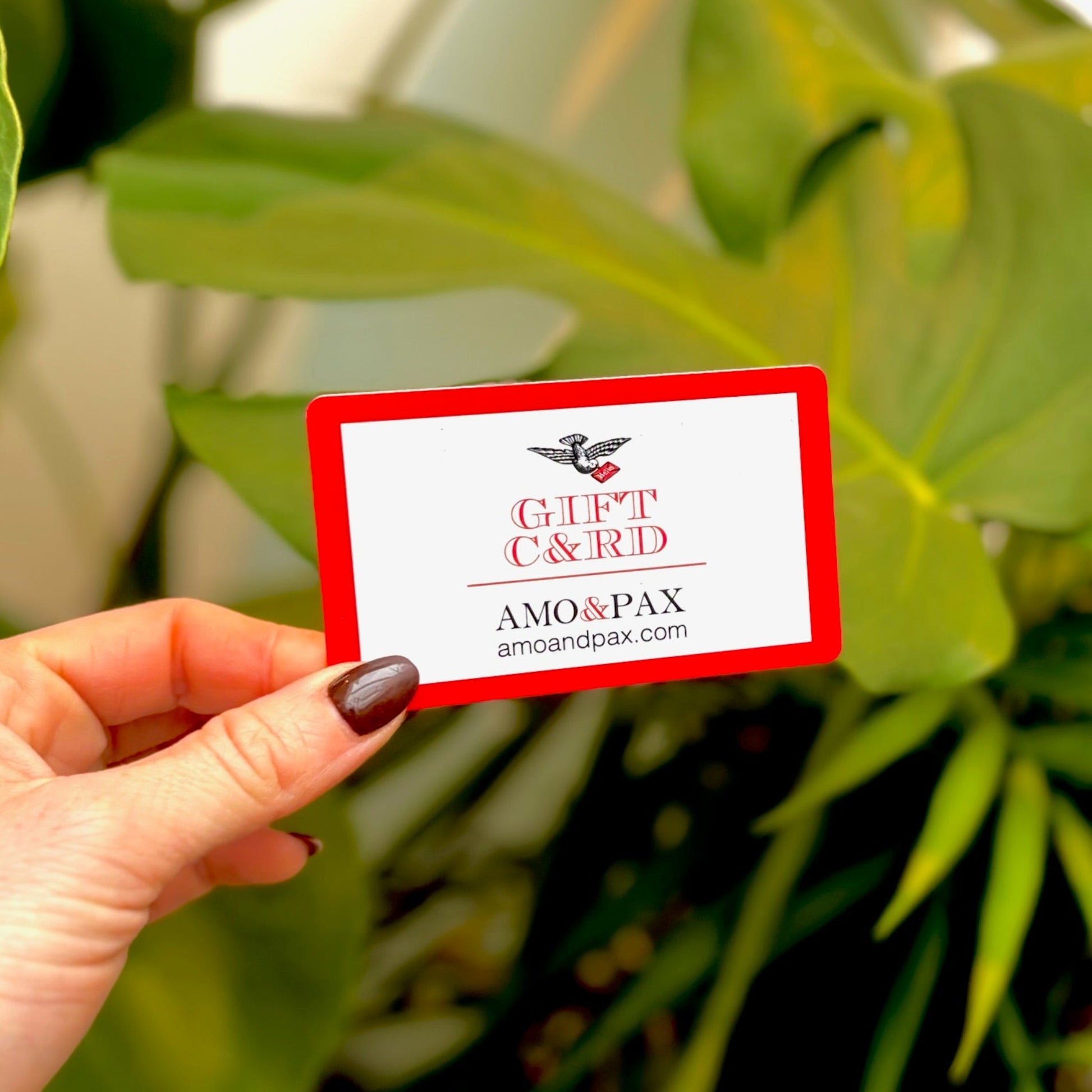 Hand holding a gift card with 'AMO & PAX' branding against a green leafy background