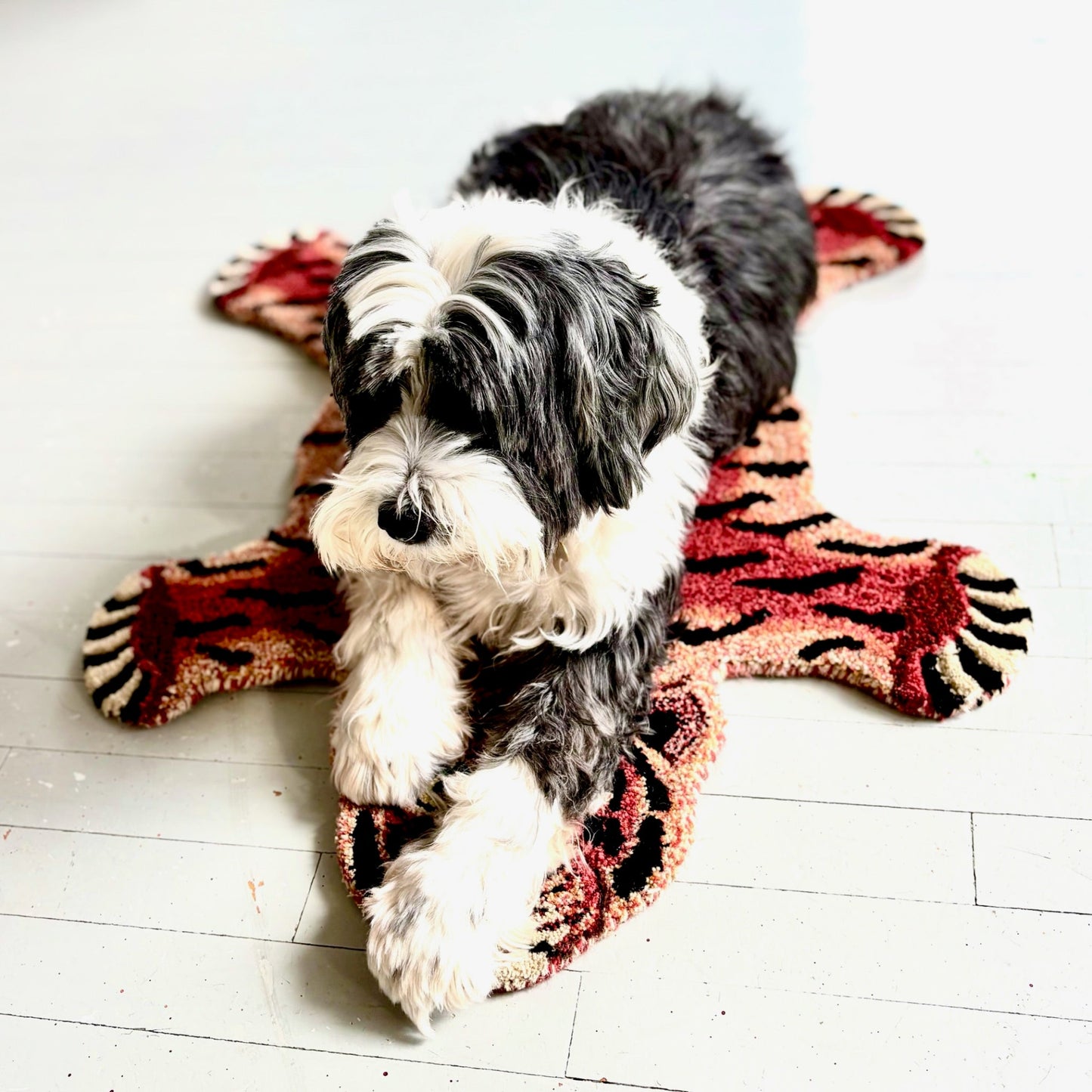 Jewel Leopard Wool Rug